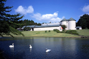 Kawamura Memorial DIC Museum of Art (Sakura-shi)