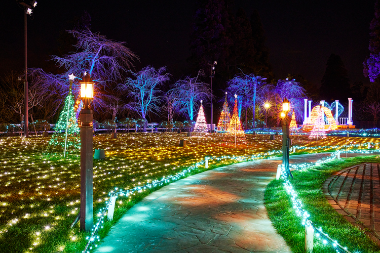 過去のイルミネーションの様子 その1