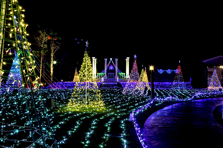 過去のイルミネーションの様子 その2