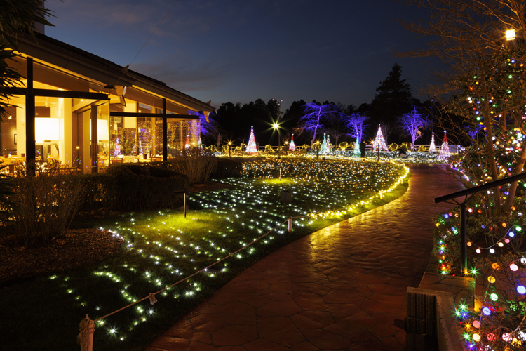 過去のイルミネーションの様子 その3