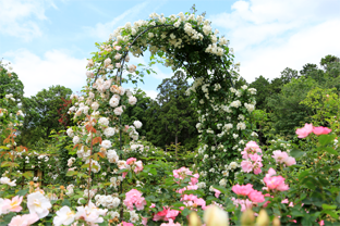 千葉県佐倉市 佐原公園