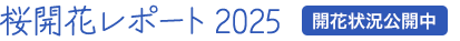 桜開花レポート2023 開花状況公開中