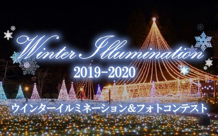 ウインターイルミネーション