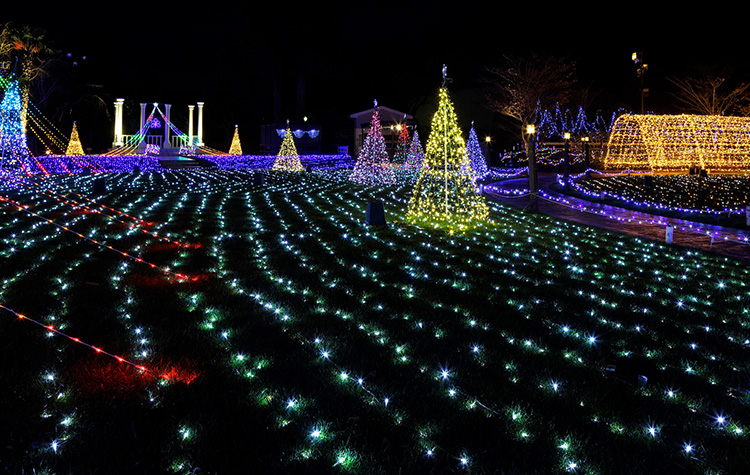 ウインターイルミネーション