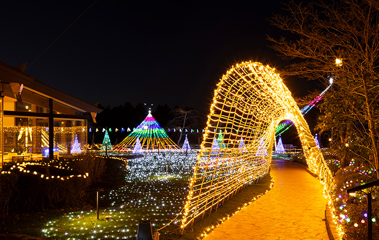ウインターイルミネーション
