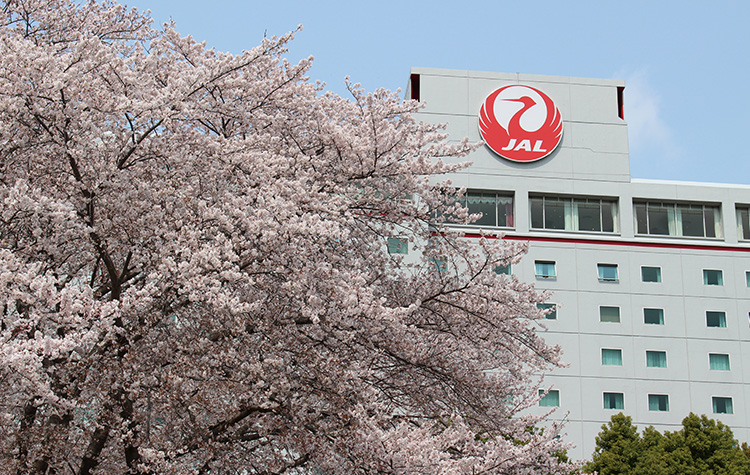 ホテル日航成田の桜絵巻