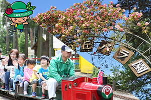 佐倉草ぶえの丘
