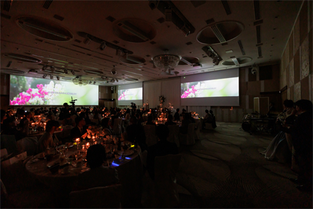 ワイドスクリーン演出