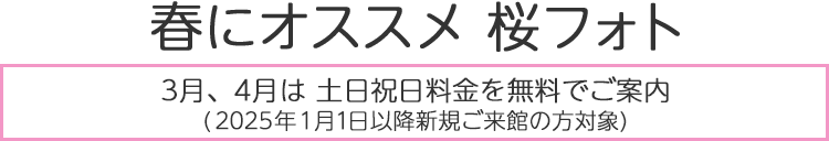 春にオススメ 桜フォト